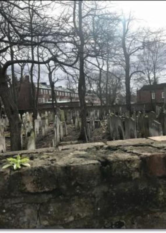 Many gravestones. In the foreground a high wall. The photo was taken over the wall.