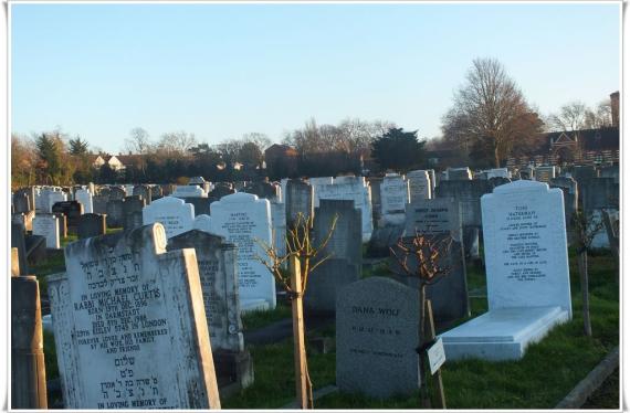 Many graves. Standing gravestones. This is what the Ashkenazi Jews do.