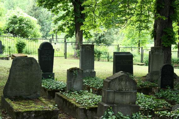 Grabsteine des Jüdischen Friedhofs Mühlhausens