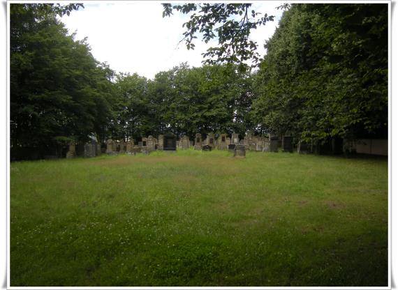 Wiese, dahinter ein Wald. Vor dem Wald Grabsteine.