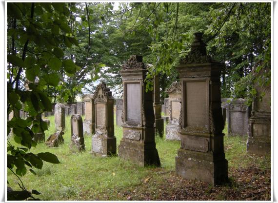 A meadow with bushes and trees. Several gravestones. Clearly details can be seen.