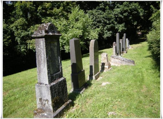 A mowed meadow. In the background forest. Diagonally from the left to the center of the picture a row of older large gravestones.