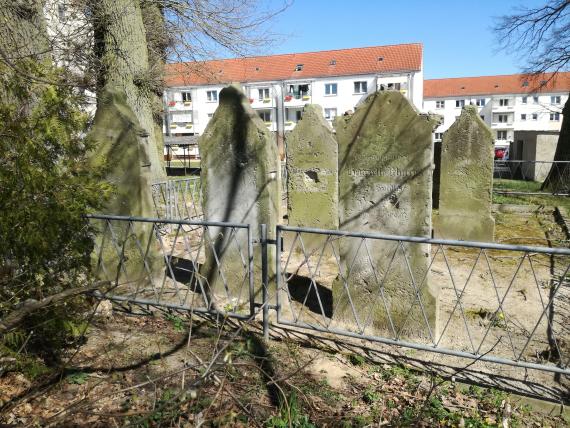 Gesamtblick aus West Richtung Ost