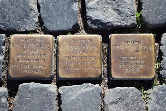 Three golden Stolpersteine with inscription on the ground.