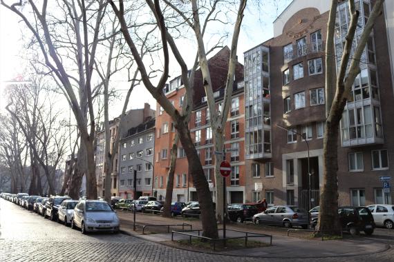 Street with residential buildings. In front of the buildings are bare trees and cars.