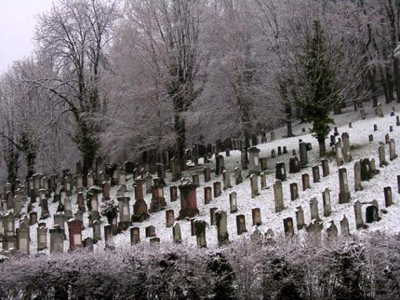 In the center of the picture there are many gravestones in straight rows. The cemetery is slightly covered with snow. In the background are bare trees.