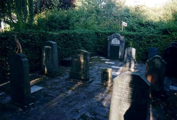 In the photo there are several gravestones in the Jewish cemetery. In the background there are bushes and trees.