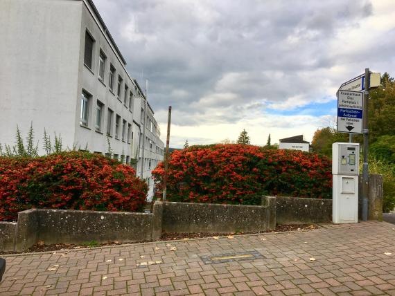 Street with flower fence and parking machine on the side. in the background is a building.