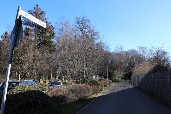 Street sign on a sidewalk. In the background are bare trees.