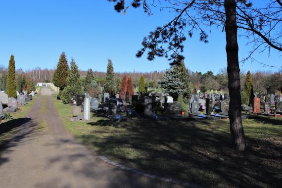 Kleiner Weg mit Grabsteinen im Hintergrund 