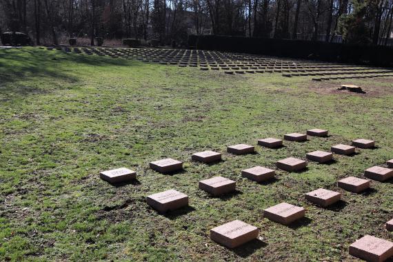 Very many rows of graves