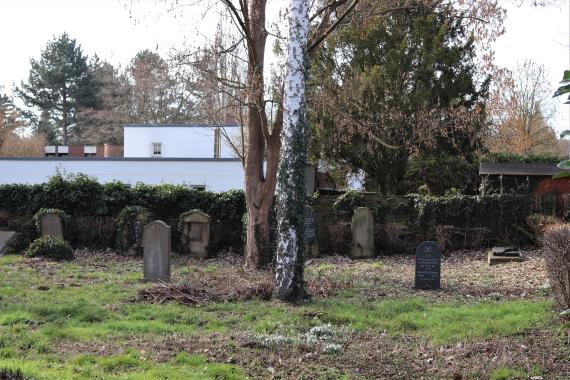 Several gravestones. In the center is a tree.