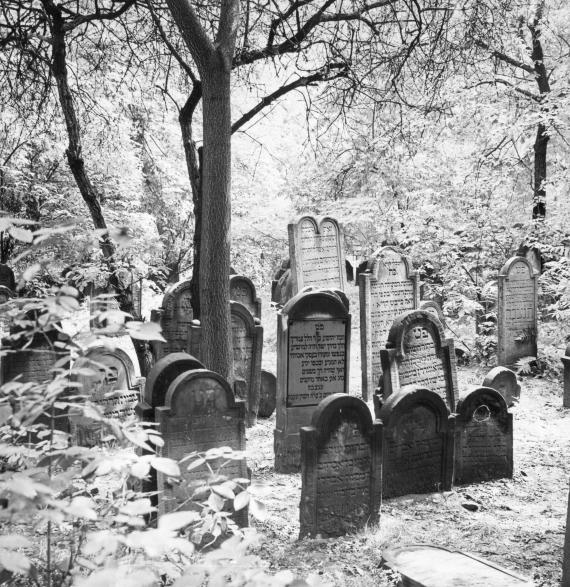 Old round arched gravestones under a tree