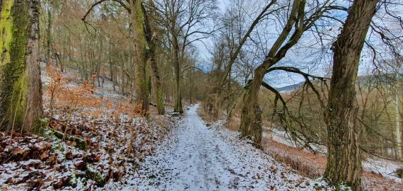 Way to the grove of Rudolstadt