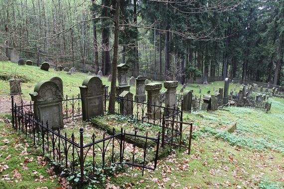 The picture shows the Jewish cemetery in Heinrichs, located on the forest slope.