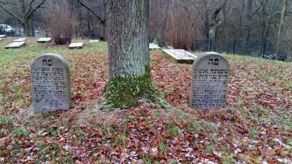 Close-up of two smaller and round gravestones placed around a tree in foliage with Hebrew inscriptions. In the background view of the tarred access road.