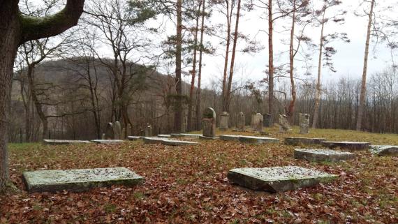 View of the cemetery area, with the gravestones lying or standing in it. On the left of the picture a tree and in the background a row of trees.