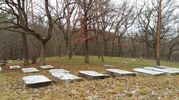 View of six gravestones lying in a row. Behind them are trees and other gabstones on which a thin layer of snow lies. The terrain is uneven and on a small hill in the background there are two upright gravestones, one on the left and one on the right next to a large tree.