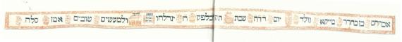 Torah pennant from 1781