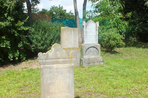 Einzelne Grabsteine auf dem Friedhof. Rasen. Im Hintergrund Bäume und Büsche.