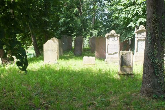 Grabsteine auf dem Friedhof A gently rolling hill with grass. Trees. Light and shadow. In the middle of it some gravestones illuminated by the sun.