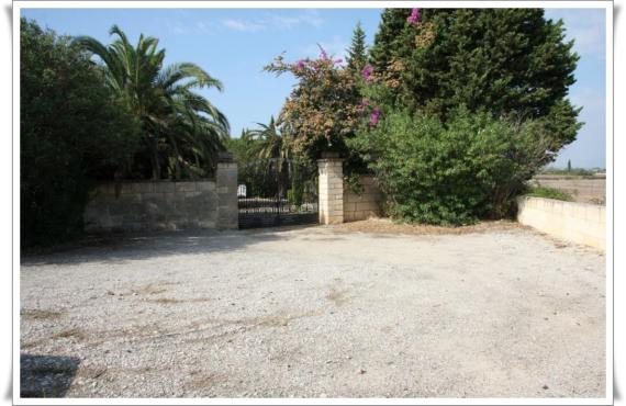 A square. Bright sunshine. Bright walls. A gate to the cemetery.