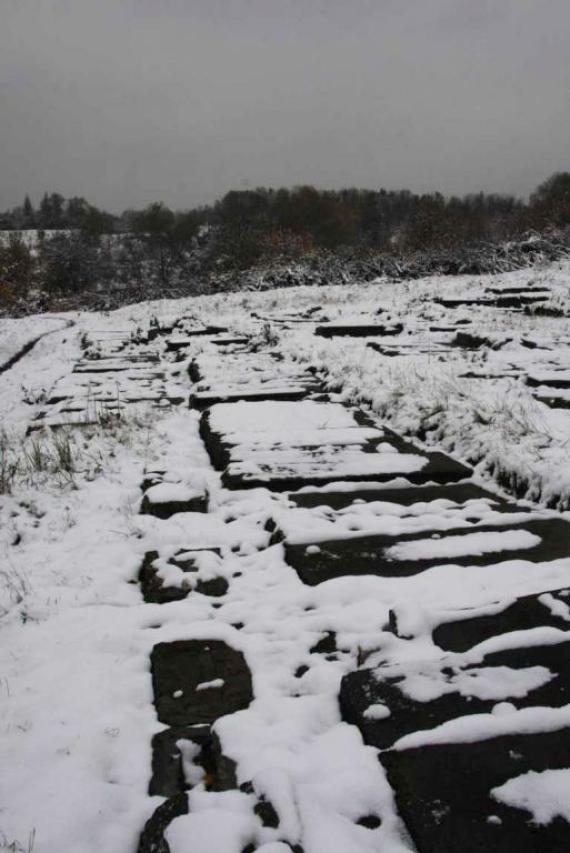 Cemetery in Plaszow