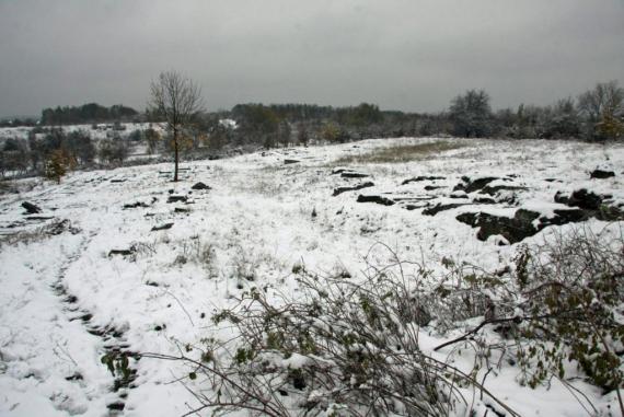 Friedhof in Plaszow