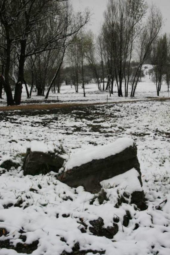 Cemetery in Plaszow