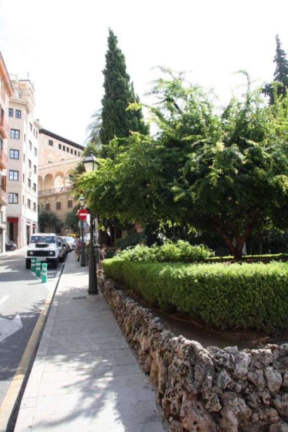 A street, wall with flowerbed. Here stood the first synagogue of Palma