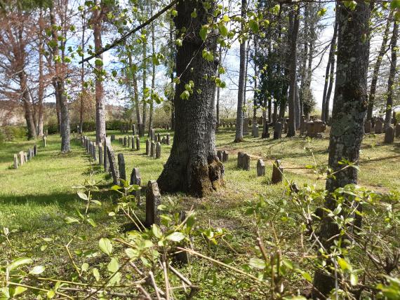 The gravestones can be seen in the old trees.