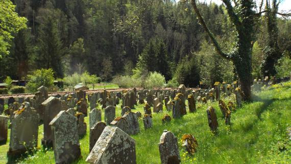 Blick über den Friedhof.  Die Rückseiten von über 100 Grabsteinen sind sichtbar. Im Hintergrund sind die talseitige Friedhofsmauer und das Eyachtal.