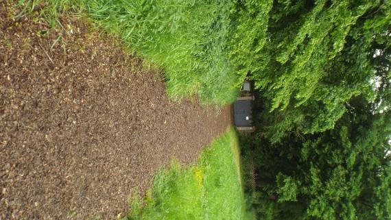 The rather narrow path is strewn with wood chips. On the left of the path is forest, on the right a meadow. The path leads about 30 straight towards the gate of the cemetery. The cemetery is completely in the forest. The two-winged gate is supported by two stone pillars. The gate wings are welded or forged, welded metal sheets prevent from looking into the cemetery. The gate wings are painted grey. The rest of the cemetery is fenced with a hunter fence.