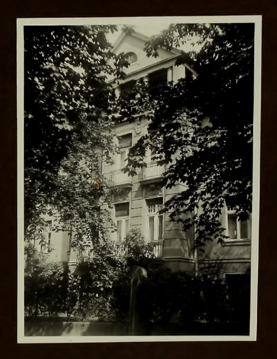 Front view of the building framed by two deciduous trees.