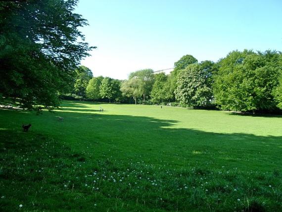 View of Innocentiapark in nice weather. A large, wide, green meadow. This is lined with trees. The sky is bright blue and cloudless.