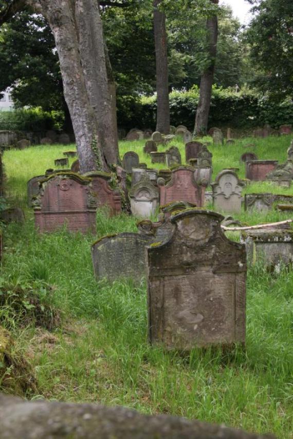 A group of older gravestones around a tree.