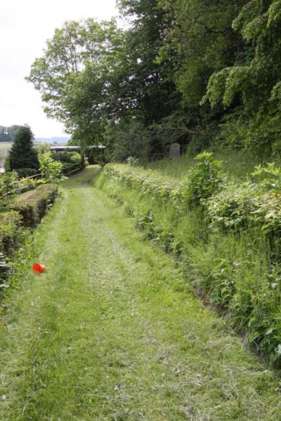 Ein Feldweg. Links eine Böschung. In der Böschung lag der Friedhof. 