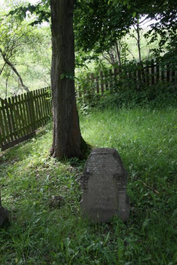 A gravestone on a meadow. Close behind it a thin tree. Bordered by a fence.