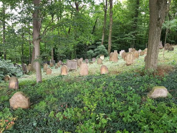 Jüdischer Friedhof Borgholzhausen