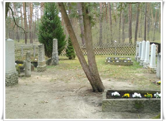 A burial ground. In the center a coniferous tree. Graves arranged crosswise on the left and right. Boundary with a hunter's fence.