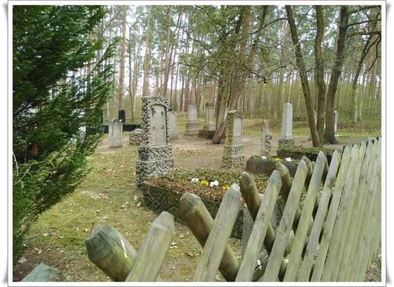 Photo over a fence. Graves and trees of the cemetery.