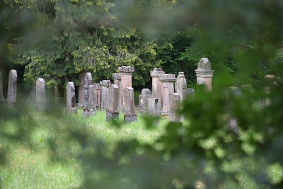 View of several tombstones