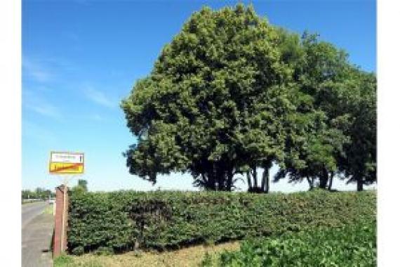 Aussenansicht des Friedhofs