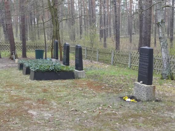 A meadow. On the right a hunter's fence. Behind the fence forest with conifers. In front of the fence on the right graves with stones standing on edge.