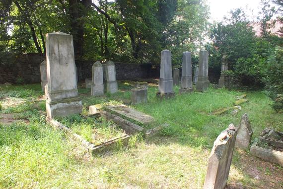 A meadow, green. Behind it tall trees. On the meadow several gravestones. Most of them are standing.