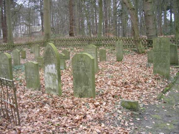 Boden mit welken Blättern, Ein einzelnes Grab. Das Ganze liegt im Wald., umgeben von einem Jägerzaun.