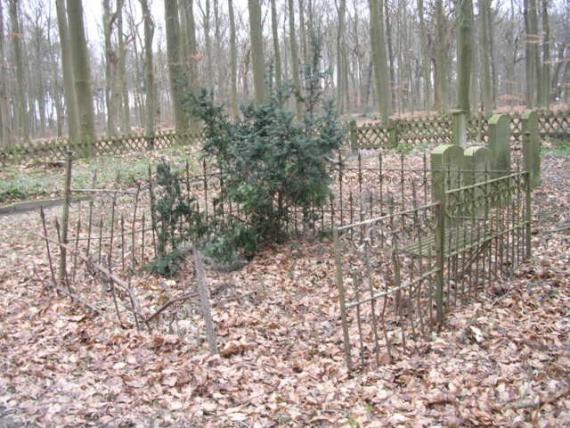 Some stones, around it wire mesh fence. Surrounded by tall trees.