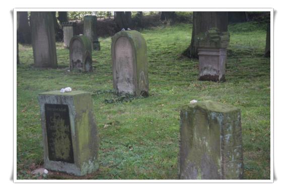 Some typical gravestones, lawn, tall trees