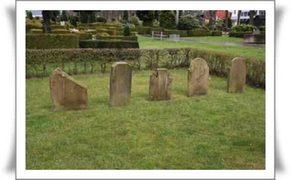 Some gravestones. They stand in a cross row. The place is surrounded by a low hedge.