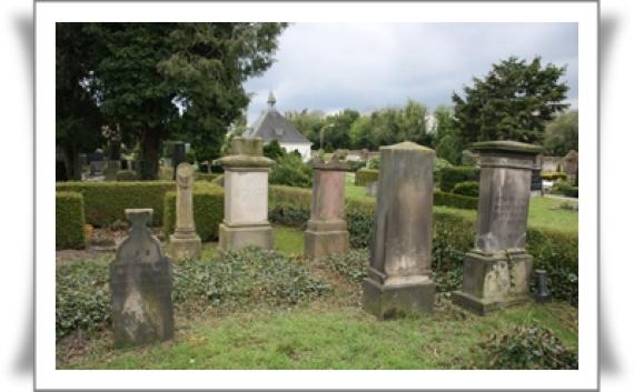 Several gravestones. Different shapes. Surrounded by a low hedge.